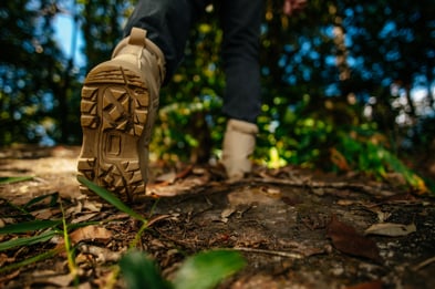 The intersection of coaching, nature, and business success