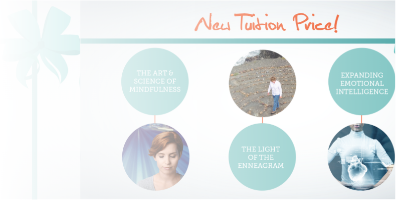 Spiral Dynamics - A Twist on the Coaching Conversation